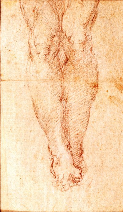 Studie für eine Kreuzigung von Michelangelo Buonarroti